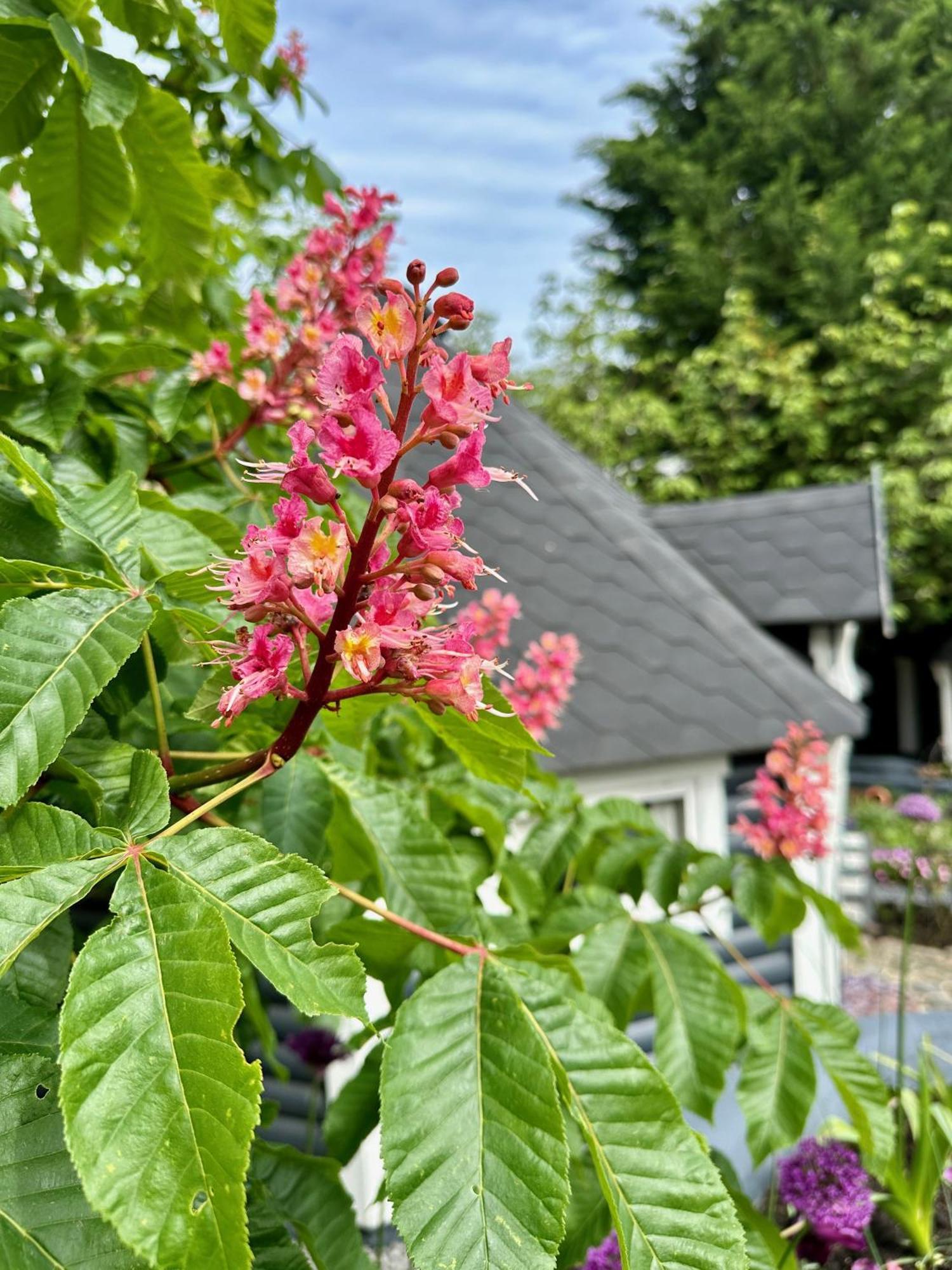 B&B Cosy Garden Alblasserdam Eksteriør billede